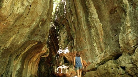 NEWS AND UPDATES News regarding Camella Sierra.